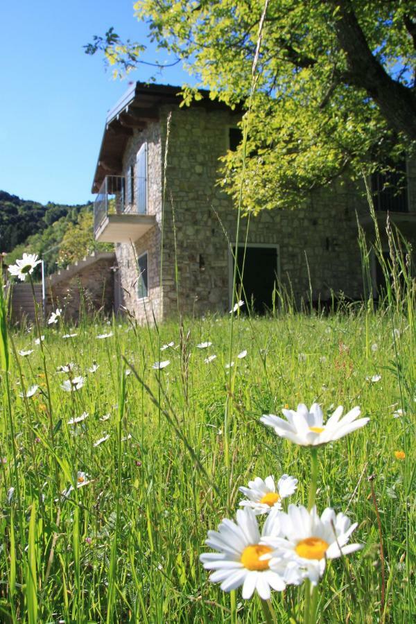 Ca Del Gari Villa Tremosine Eksteriør billede